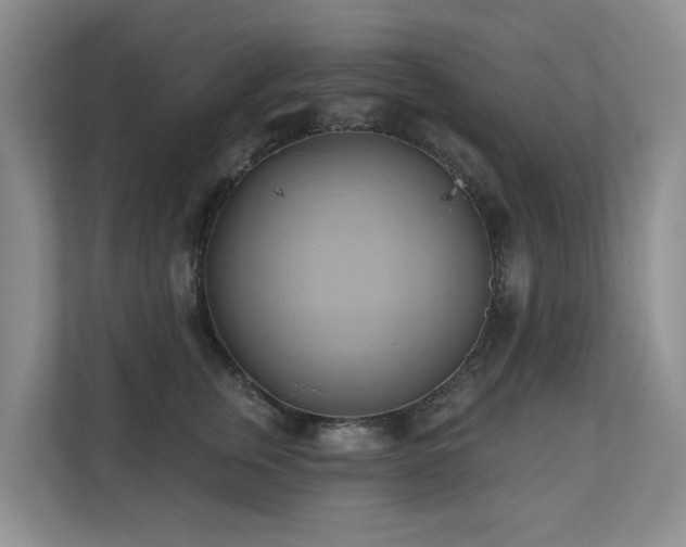 X0000110680759200906121206