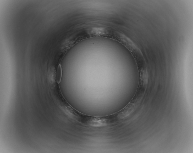 X0000110680760200906121206
