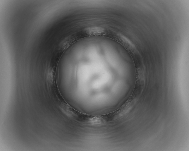 X0000110680761200906121206