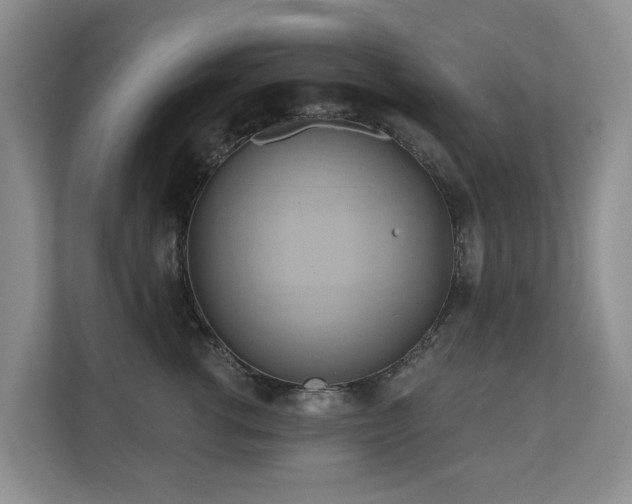 X0000110680762200906121206
