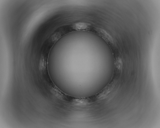 X0000110680763200906121206