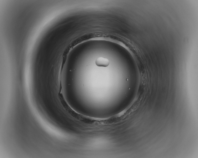 X0000110680764200906121206