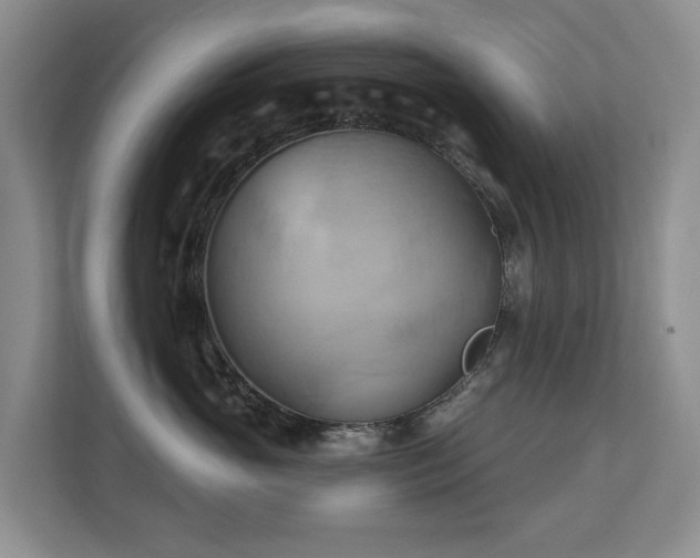 X0000110680765200906121206
