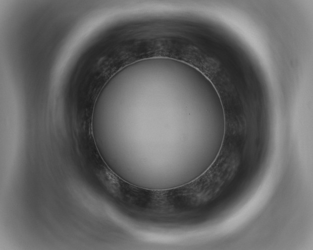 X0000110680766200906121206