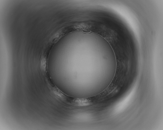 X0000110680767200906121206