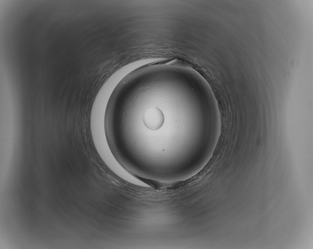 X0000110680768200906121206