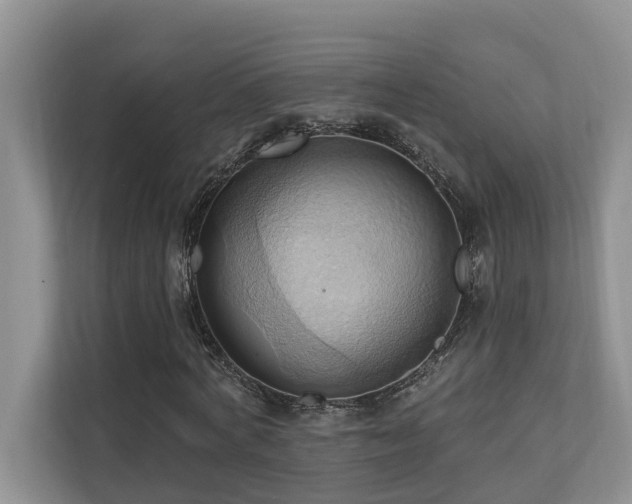 X0000110680772200906121205