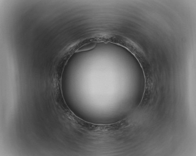 X0000110680773200906121205