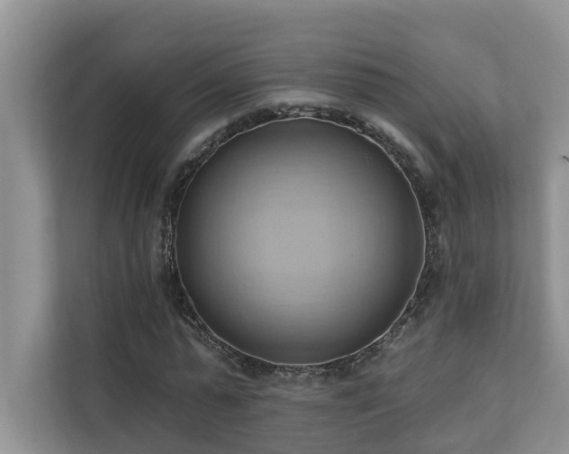 X0000110680775200906121205