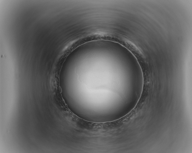 X0000110680776200906121205