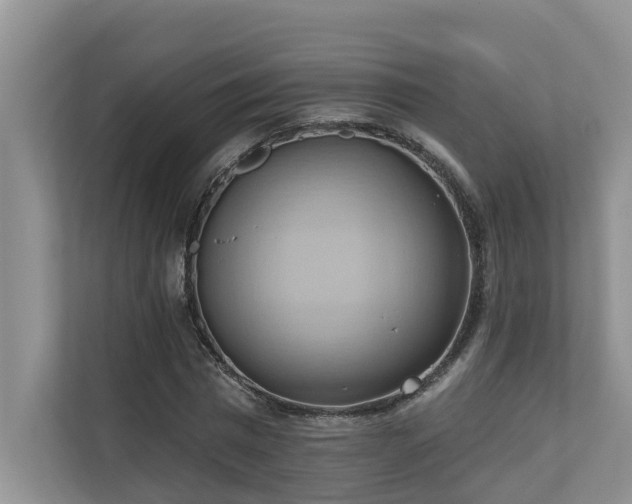 X0000110680777200906121205