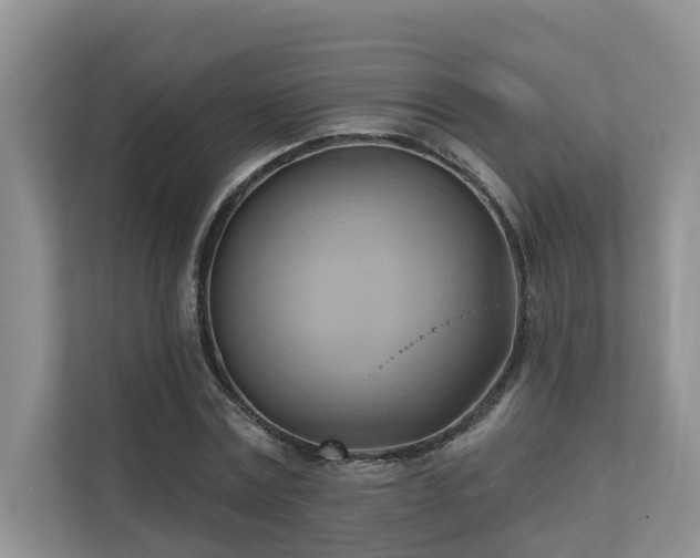 X0000110680779200906121205
