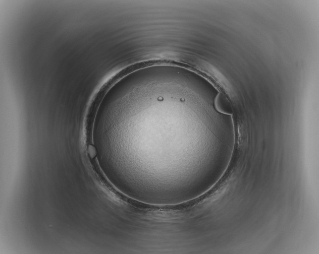 X0000110680780200906121205