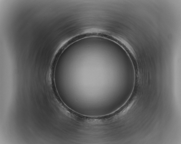 X0000110680783200906121205
