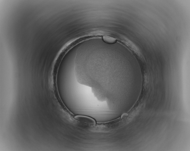 X0000110680784200906121205