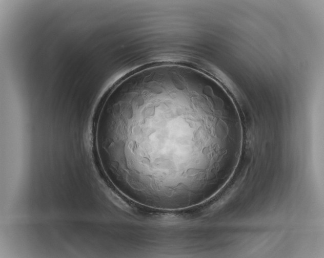 X0000110680787200906121205