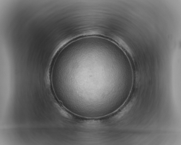 X0000110680789200906121205