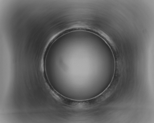 X0000110680791200906121205
