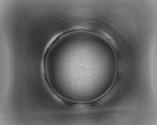 X0000110680796200906121205
