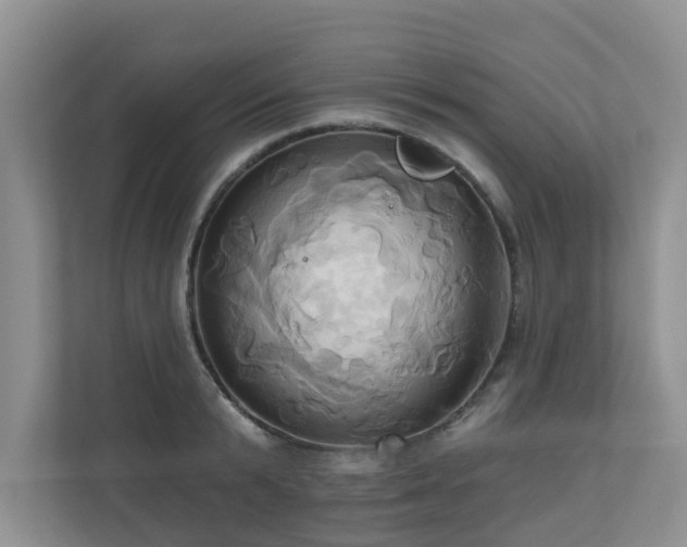 X0000110680799200906121205