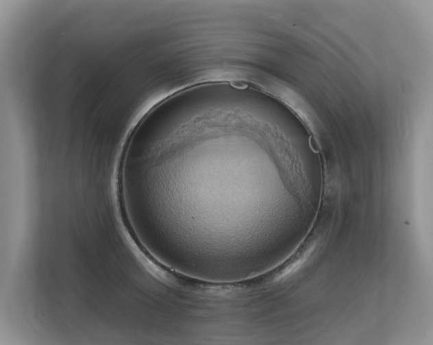 X0000110680803200906121205