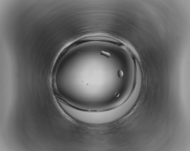 X0000110680805200906121205
