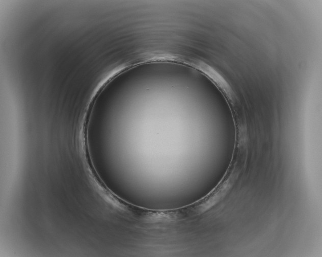 X0000110680806200906121205