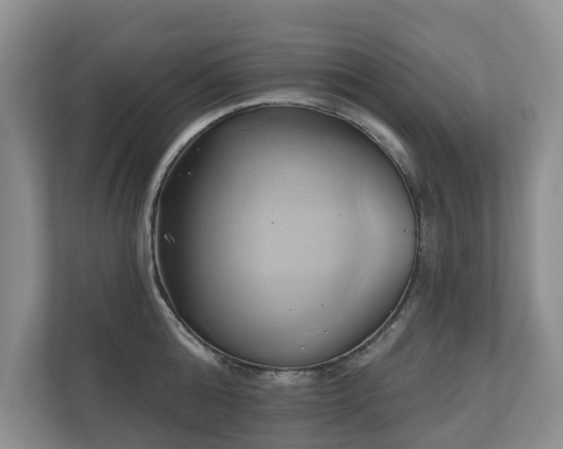 X0000110680808200906121205