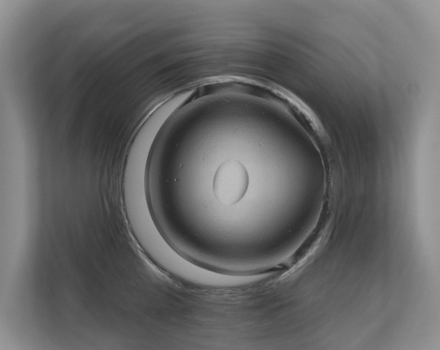 X0000110680809200906121205