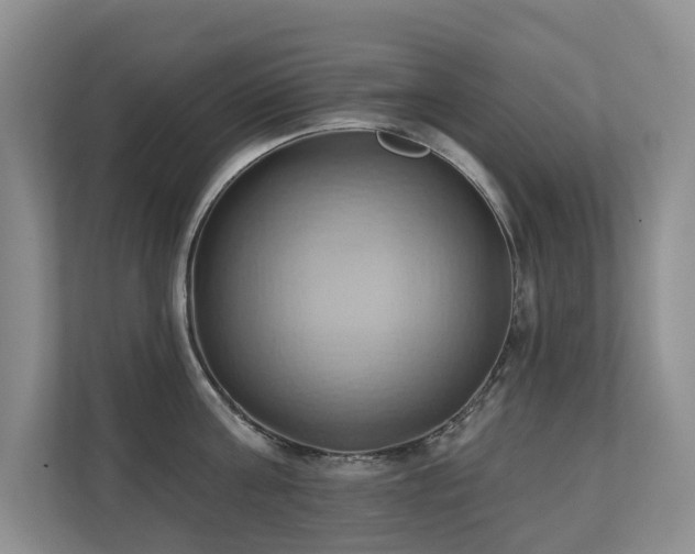X0000110680811200906121205