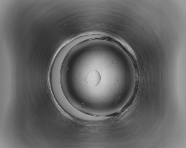 X0000110680813200906121205