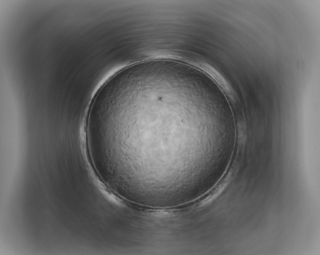 X0000110680814200906121205