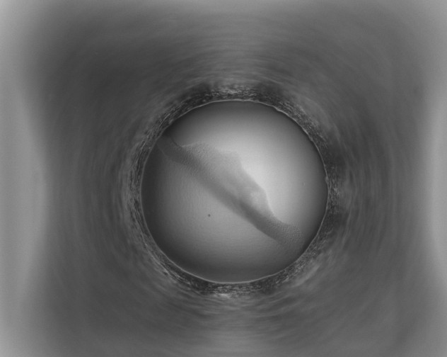 X0000110680817200906121204