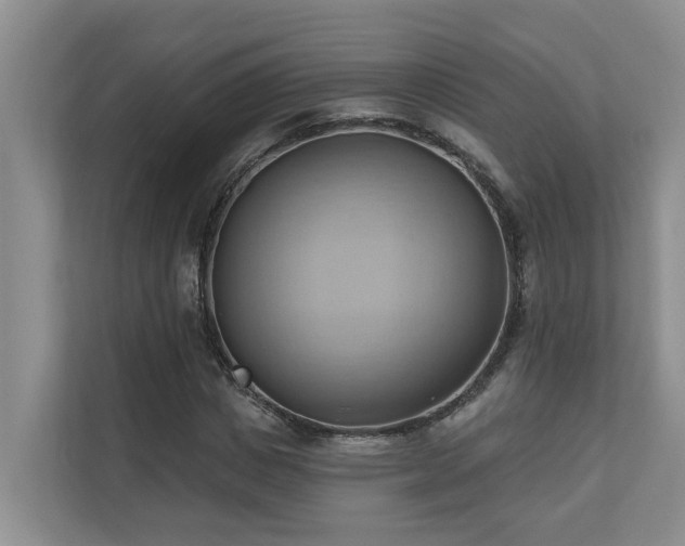 X0000110680825200906121204