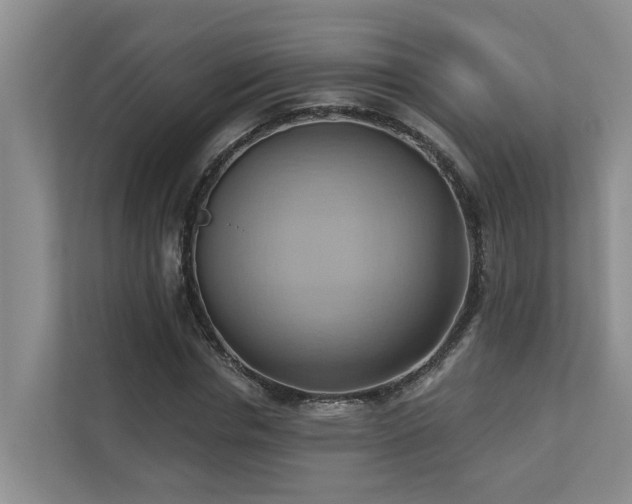 X0000110680826200906121204