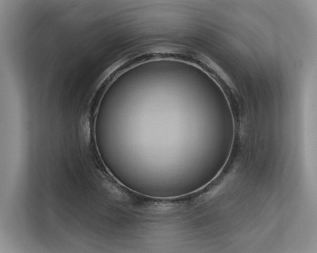 X0000110680829200906121204