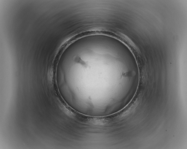 X0000110680831200906121204