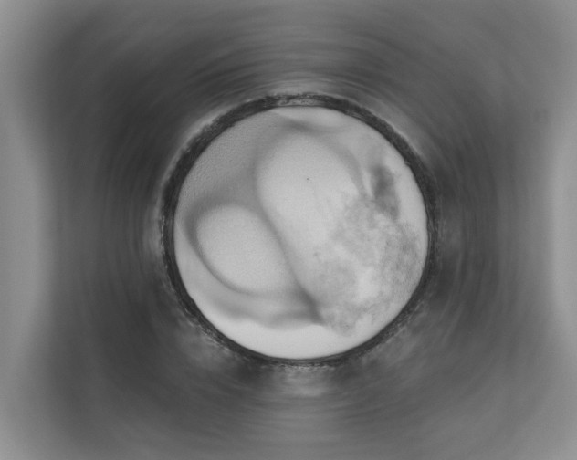 X0000110680832200906121204