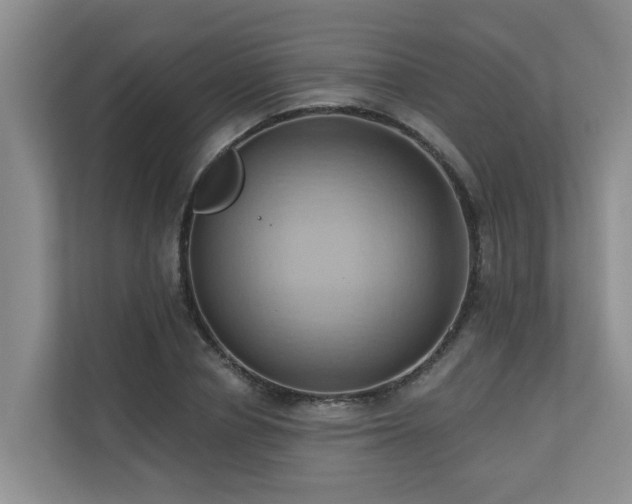 X0000110680834200906121204