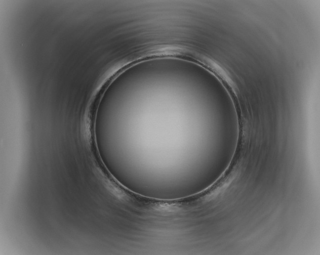 X0000110680835200906121204