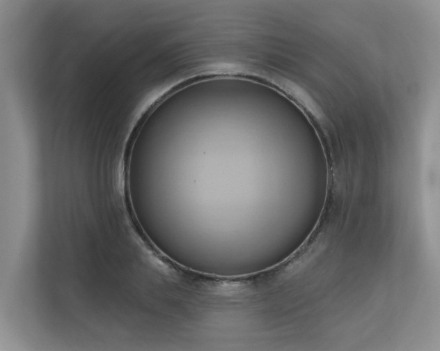 X0000110680839200906121204