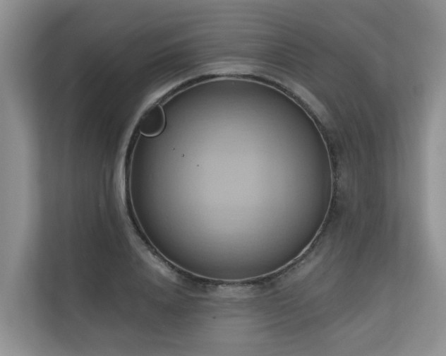 X0000110680840200906121204