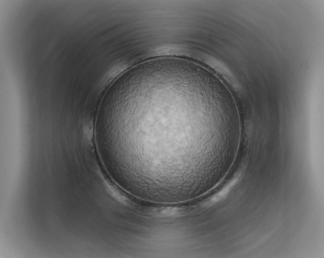 X0000110680841200906121204
