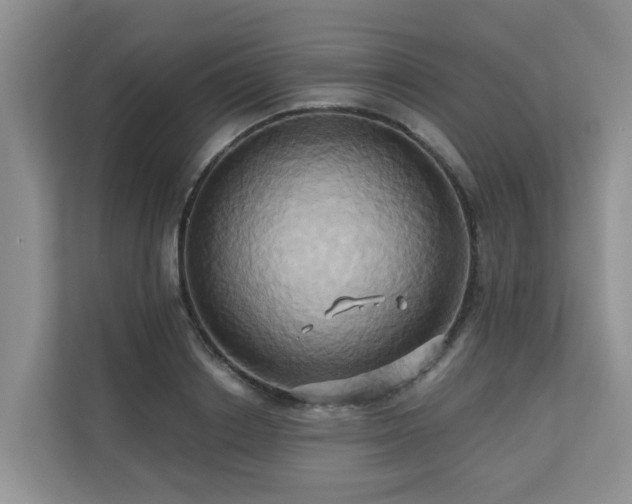 X0000110680842200906121204