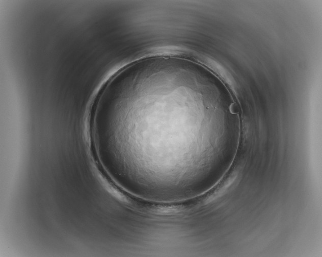 X0000110680843200906121204