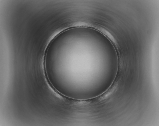 X0000110680847200906121204