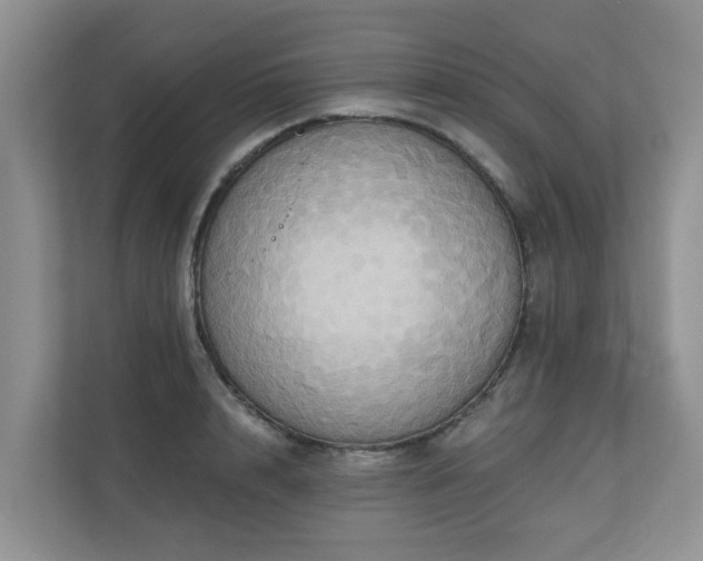 X0000110680848200906121204