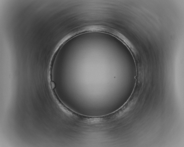 X0000110680853200906121204