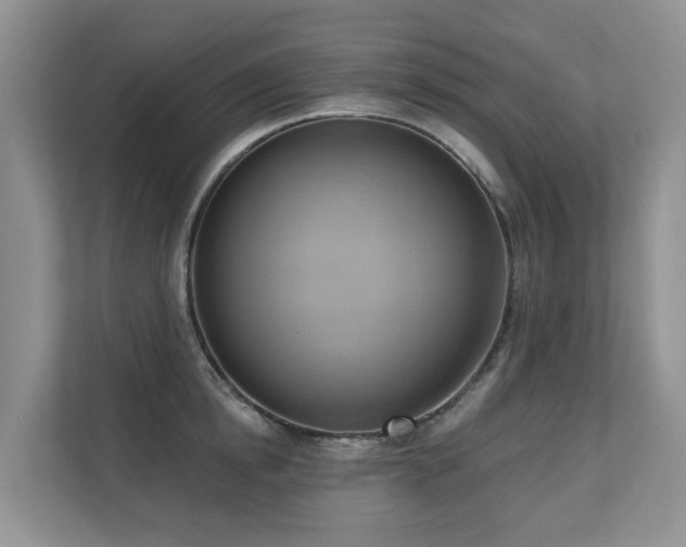 X0000110680854200906121204
