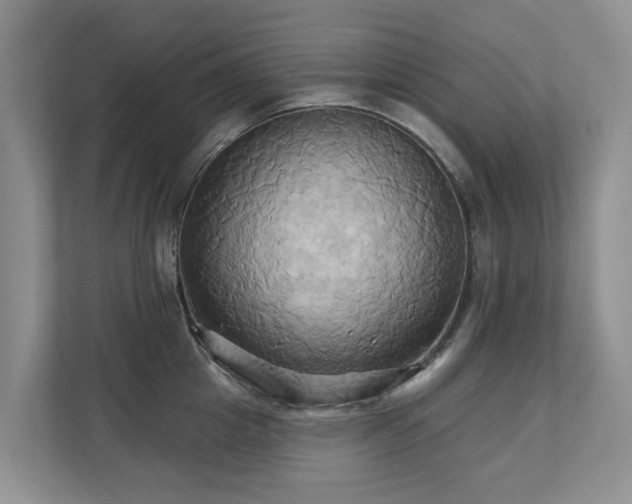 X0000110680857200906121204